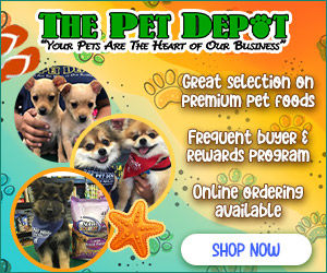 Email Campaigns - Image 3