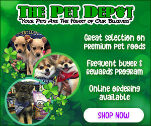 Email Campaigns - Image 6