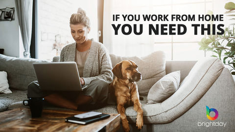 Longs Drugs - Image 7